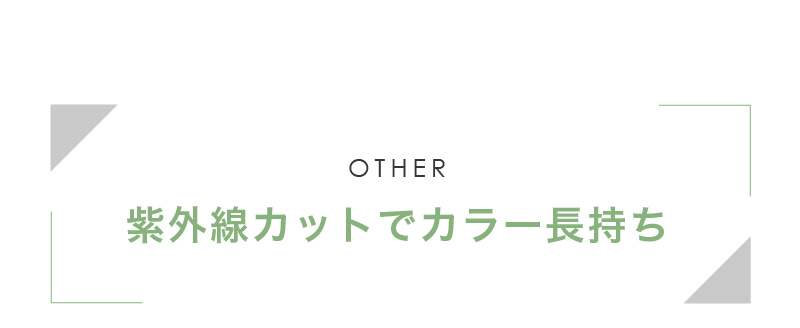 ツヤ出し・UVアイテム