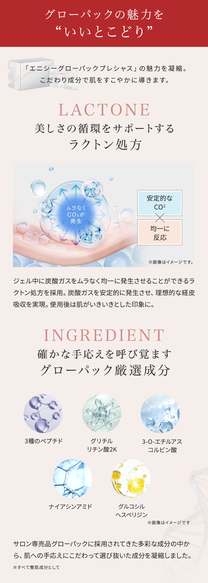 炭酸ガスパック エニシー グローパック Fantasy