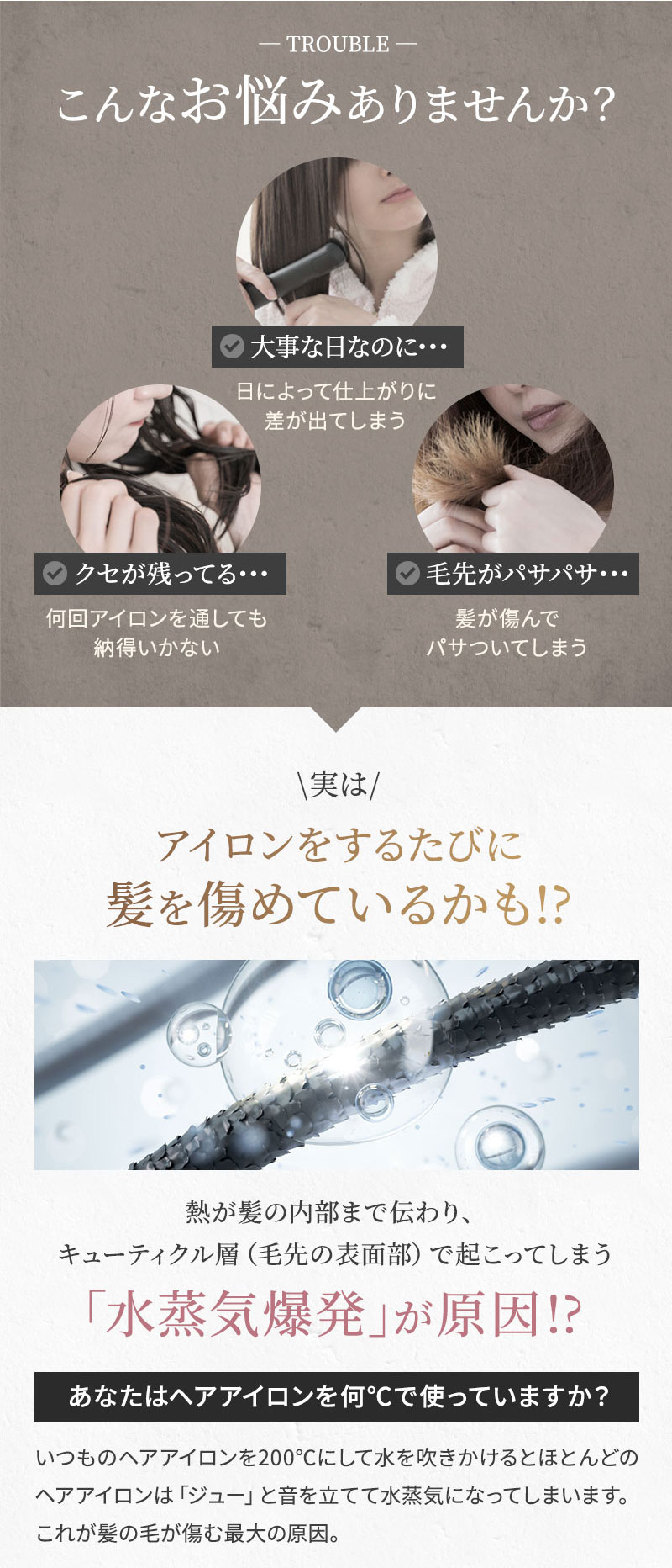 KINUJO ワールドワイドモデル ストレートアイロン