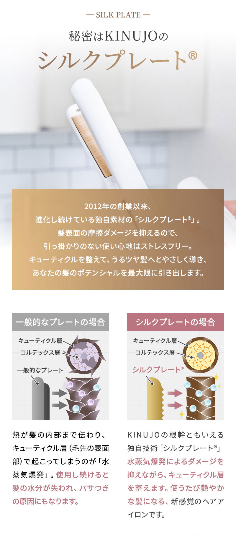 KINUJO ワールドワイドモデル ストレートアイロン