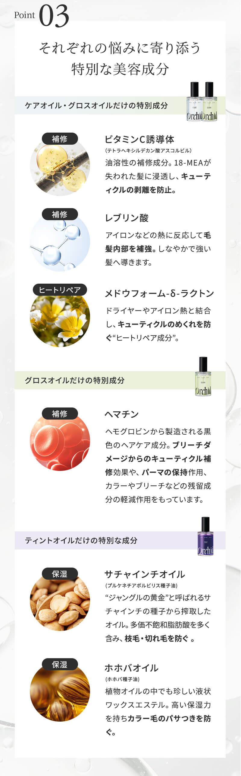 メゾン オルキデオイル