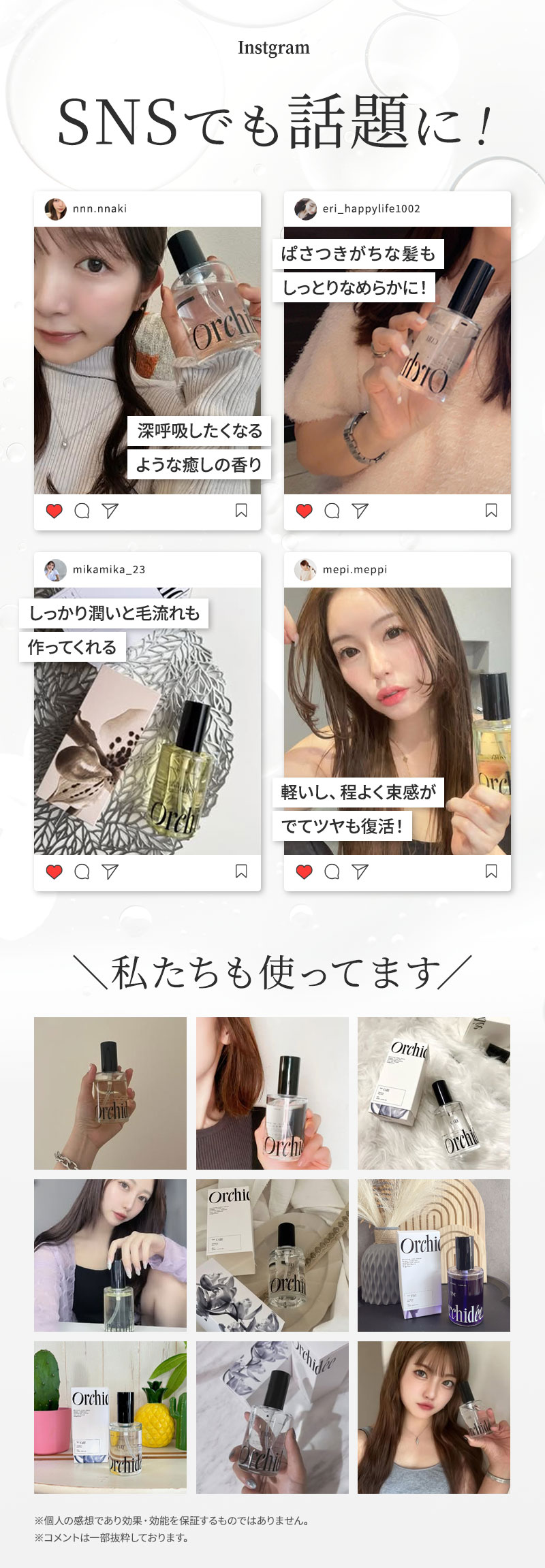 メゾン オルキデオイル