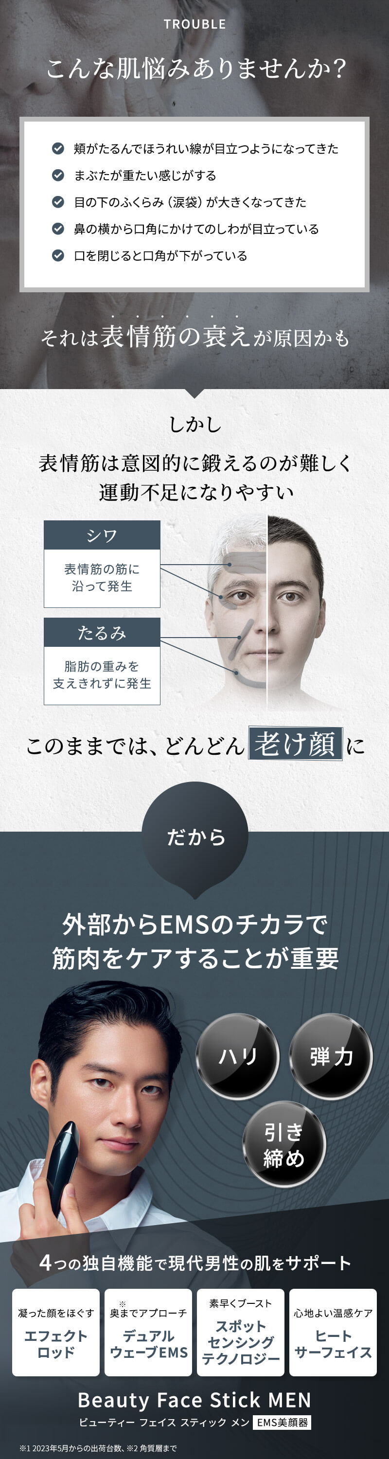 ステラボーテ ビューティフェイススティック メン