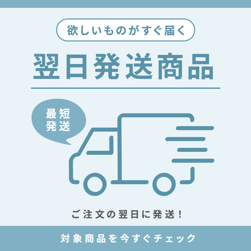 翌日発送
